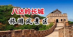 免费网站鸡巴中国北京-八达岭长城旅游风景区