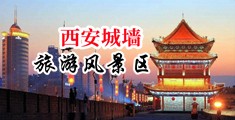 中国大鸟日逼视频中国陕西-西安城墙旅游风景区