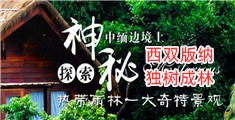 插逼视频无码啊啊啊用力